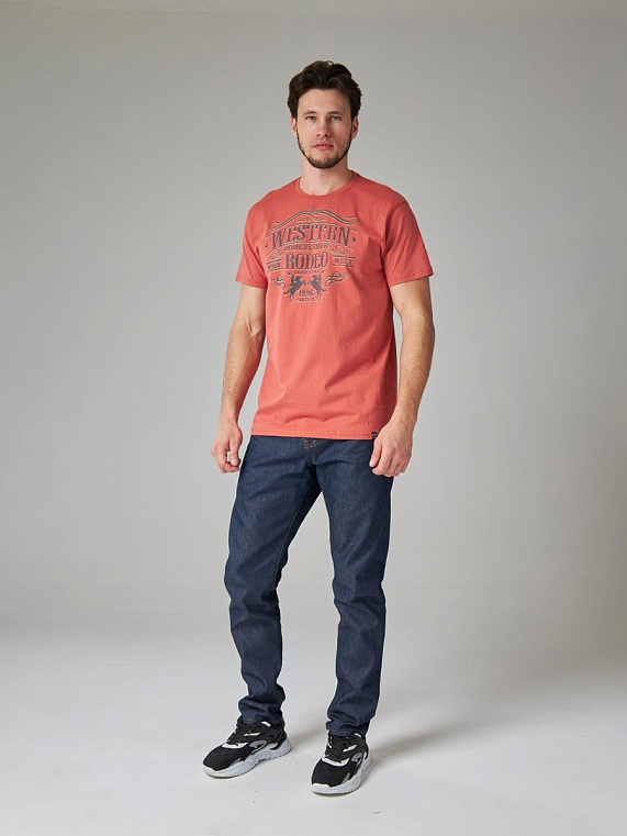 футболка мужская