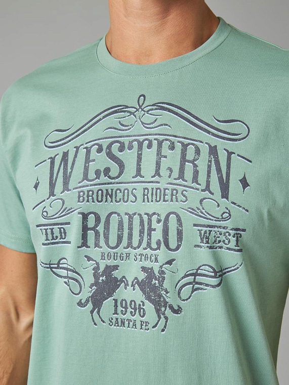 футболка мужская